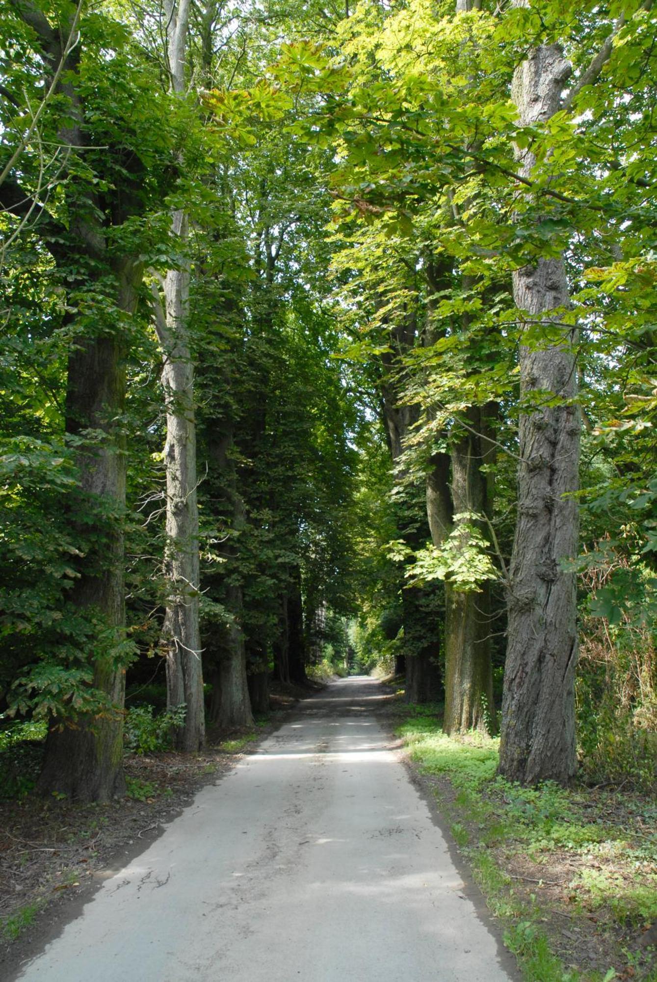 Hotel Restaurant La Ferme De Grambais Nivelles Zewnętrze zdjęcie